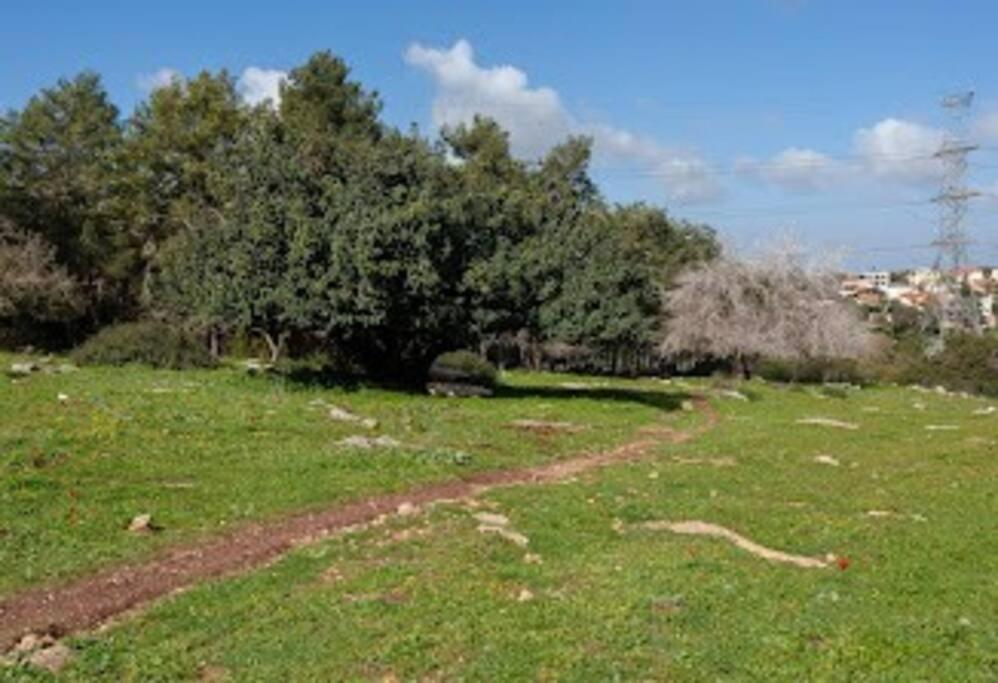 Villa וילה גדולה, עם סלון גדול ושלוש ספות, חצר עם טרפמולינה ונדנדות 3 חדרים עד 15 מיטות, חניה חינם בכניסה, קרוב לכל החנויות Qiryat Ata Exterior foto